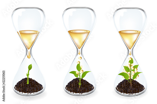 Glass clocks With sprouts, coins and Golden drops