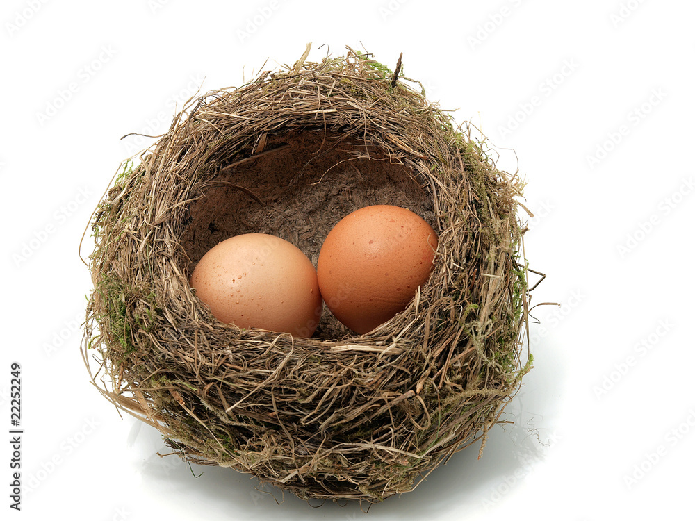 Bird's nest with eggs Bird's nest with eggs