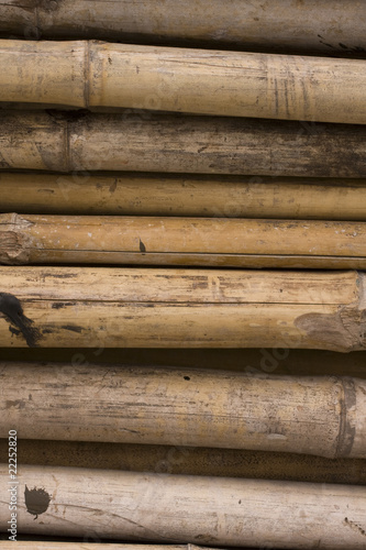 close up of bamboo for background