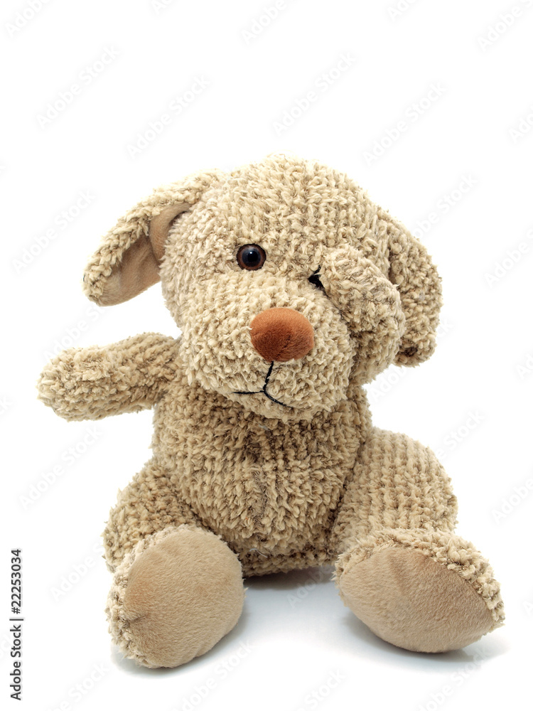 Dog Toy Dog Toy