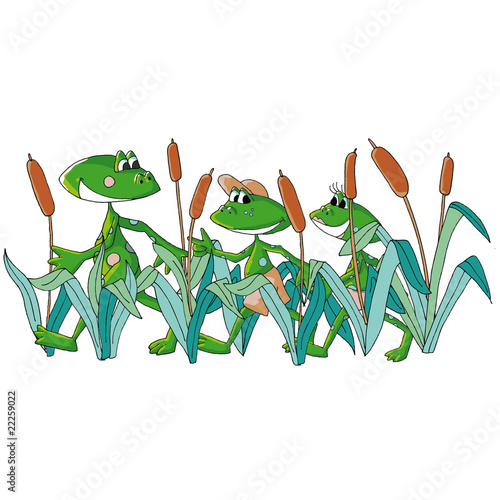 Famille grenouille