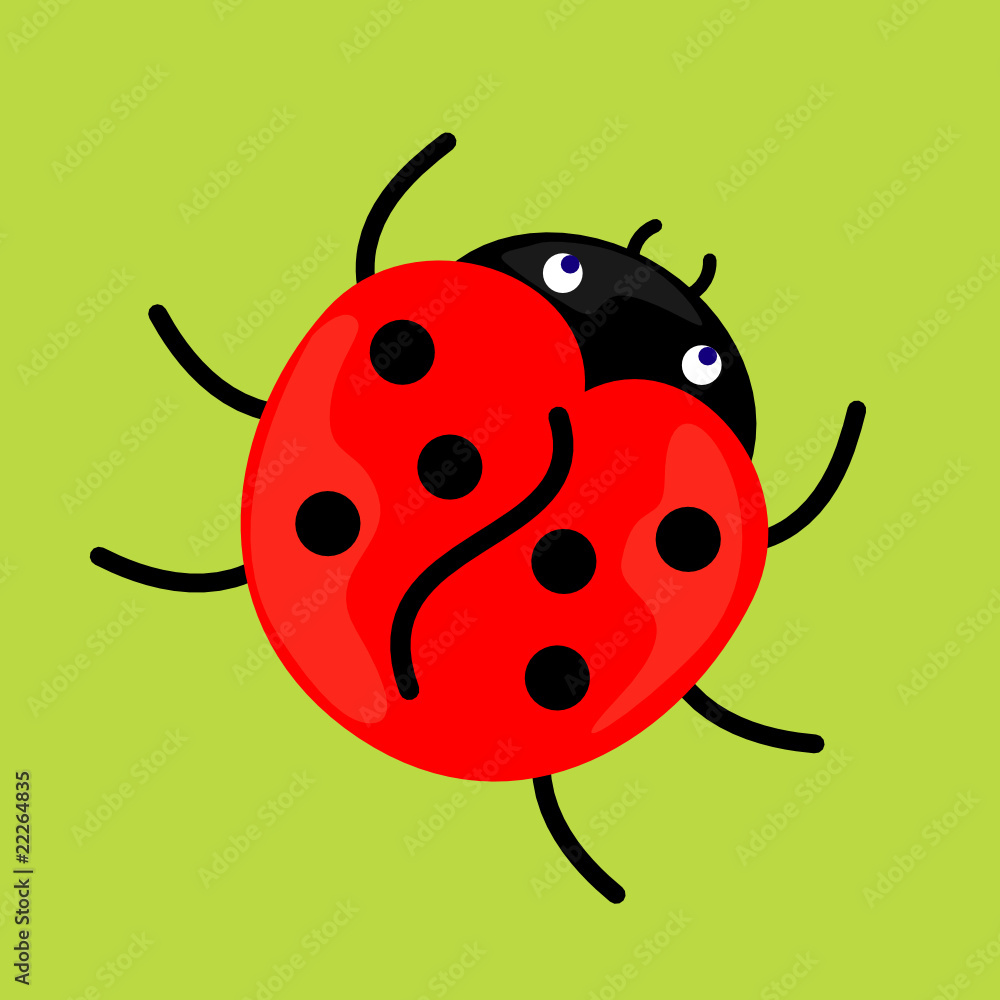 Ladybug Ladybug