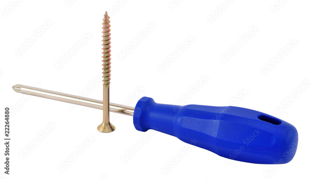 Screw and screwdriver