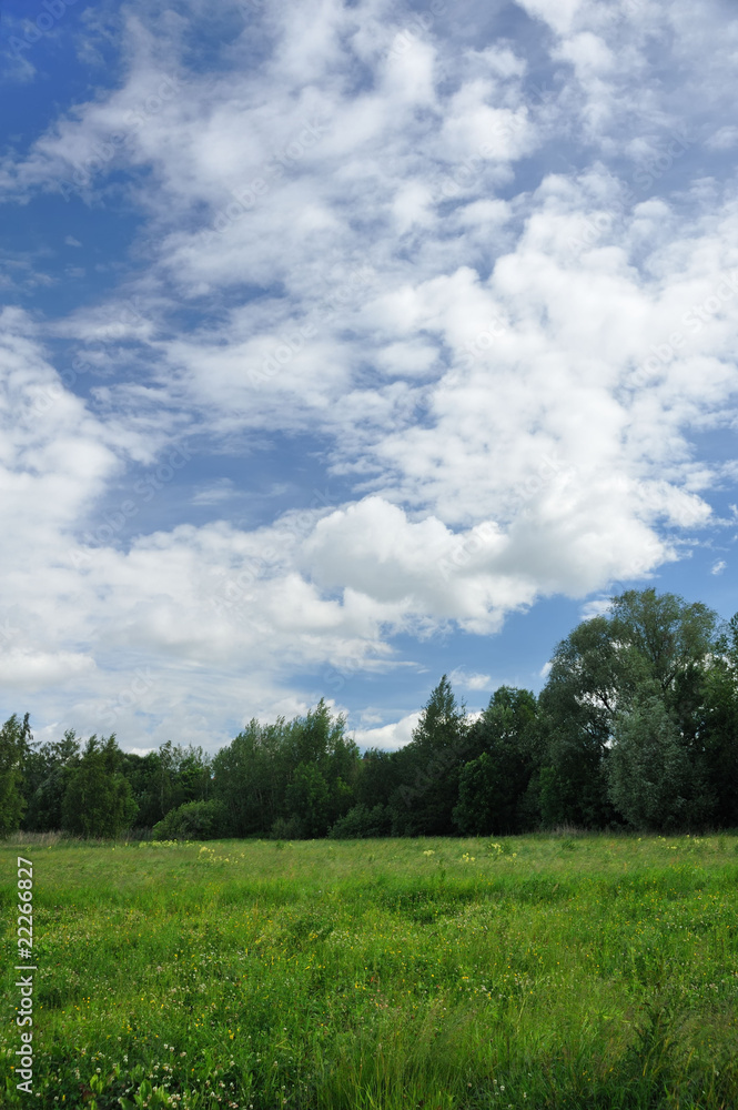 Landscape of a green field with trees Landscape of a green field with trees