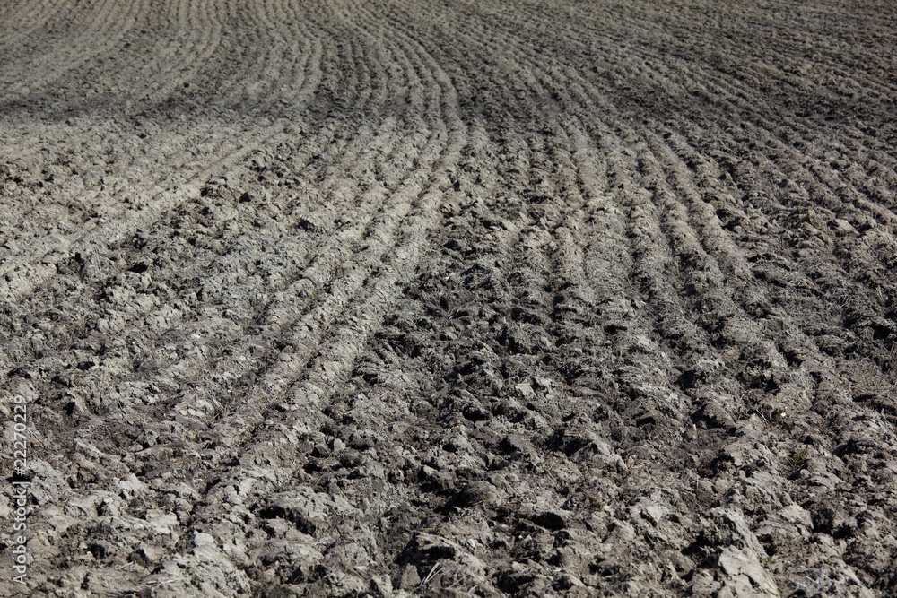 Ploughed field Ploughed field