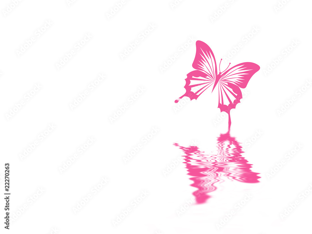 Fototapeta premium Schmetterling