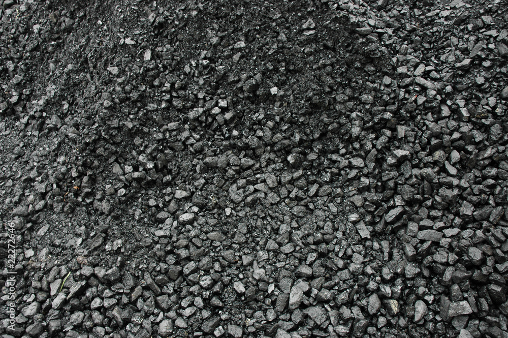 Coal Coal