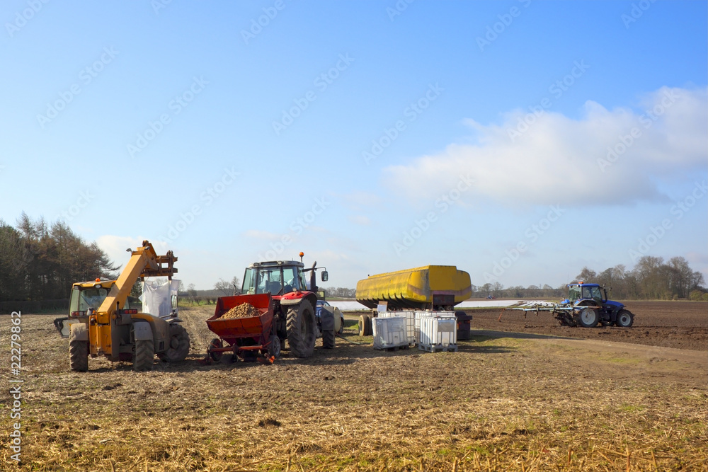 Fototapeta premium agricultural scene