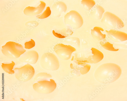 Cheese in close up