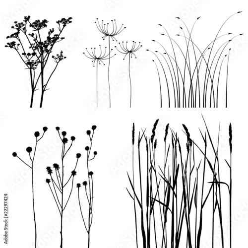 collection, for designers, plant vector #22297424
