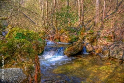 At Riverside  mossy rocks