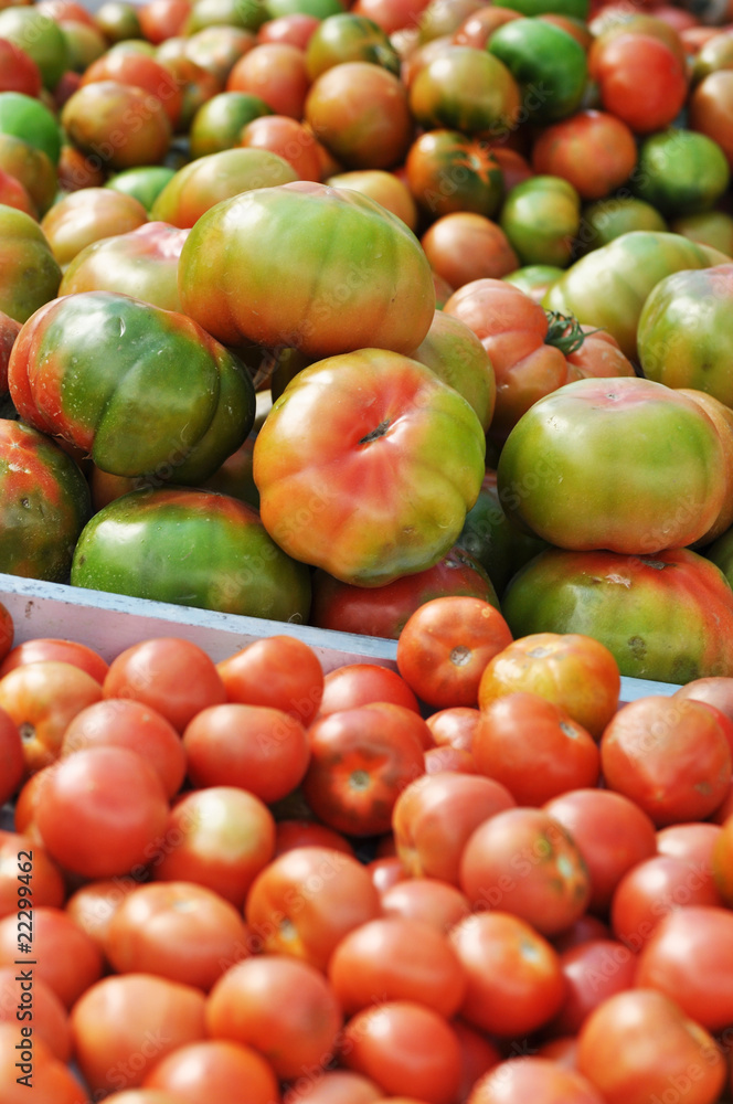 Tomaten Tomaten
