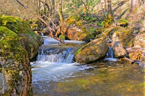 At Riverside  mossy rocks