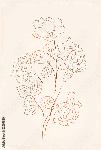 vintage sketch
