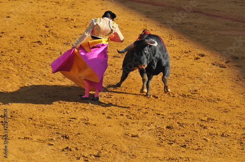 Torero et taureau, avec la cape tournoyant