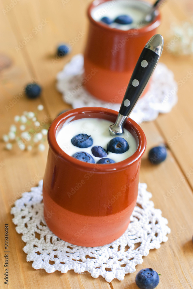 fresh fruit yogurt with blueberries fresh fruit yogurt with blueberries
