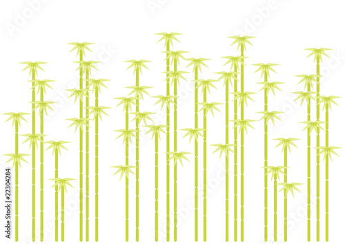 Bamboo tree silhouettes  vector