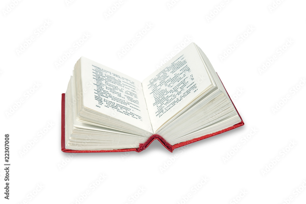 Obraz premium Open a small dictionary