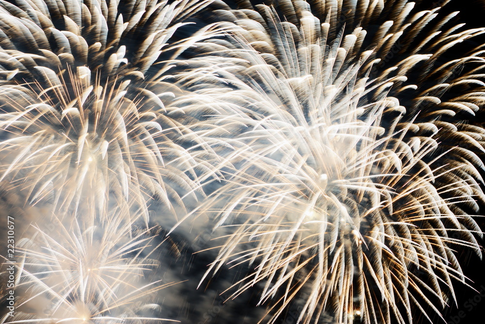 Obraz premium Firework explosion