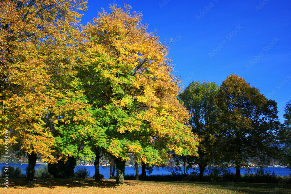 Naklejka premium Herbstlicher Tegernsee