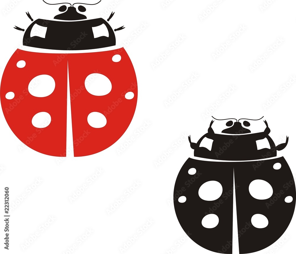 A group of ladybug in shape and color A group of ladybug in shape and color