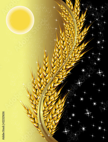 Wheat day and night