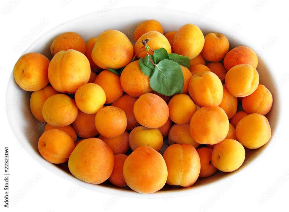 Apricots on white tray. Apricots on white tray.