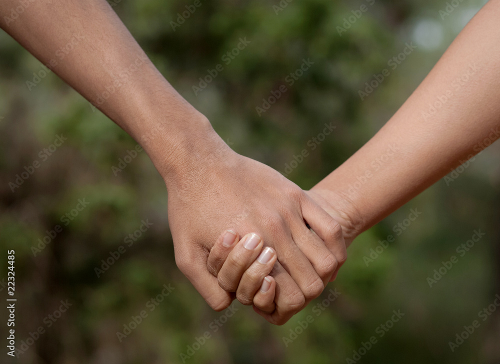 Lovers couple holding hands in a forest (summer/spring). Lovers couple holding hands in a forest (summer/spring).