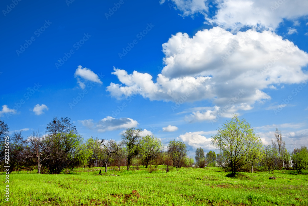 Spring green landscape