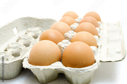 eggs