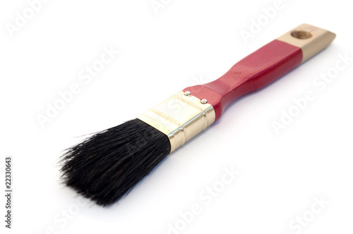 Brush for a paint photo