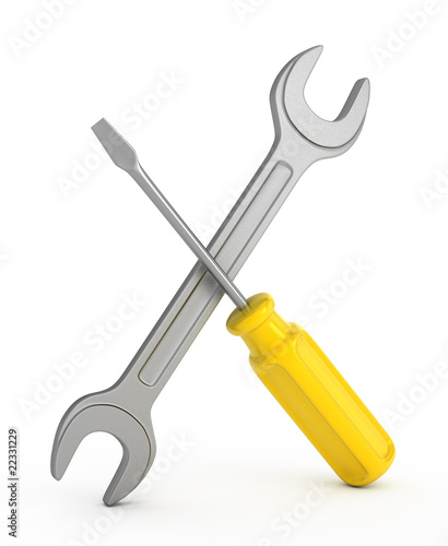 Screwdriver and spanner.