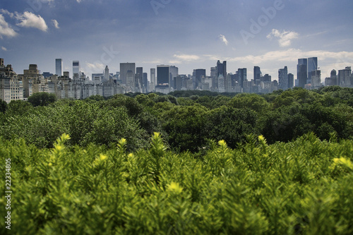 New York Skyline veiew across trees of Central park