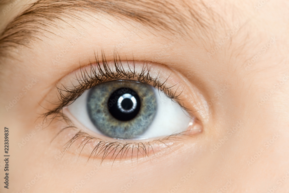 Fototapeta premium right blue eye of child with long eyelashes close up