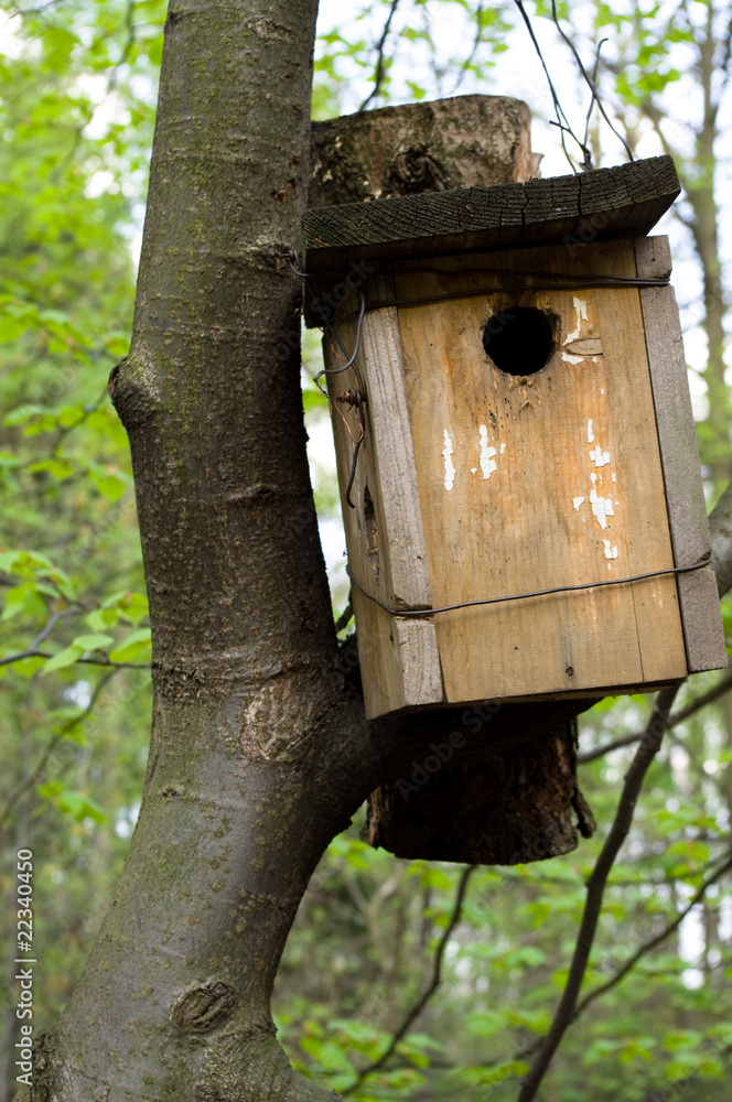 wooden bird box