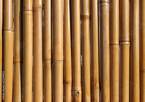 Old bamboo wood fence close up.