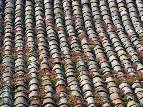 Vieille toiture d'Ardèche © Didier Doceux