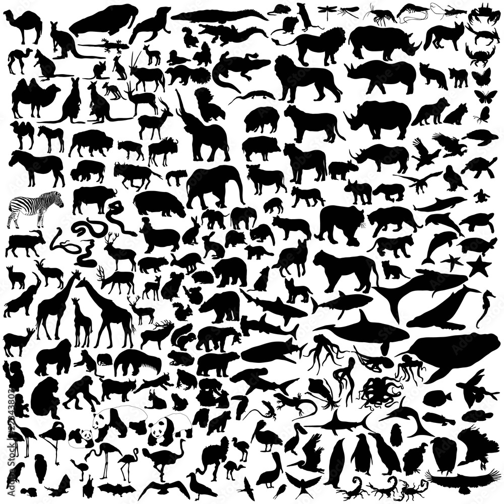 Naklejka premium Colección de siluetas de animales salvajes