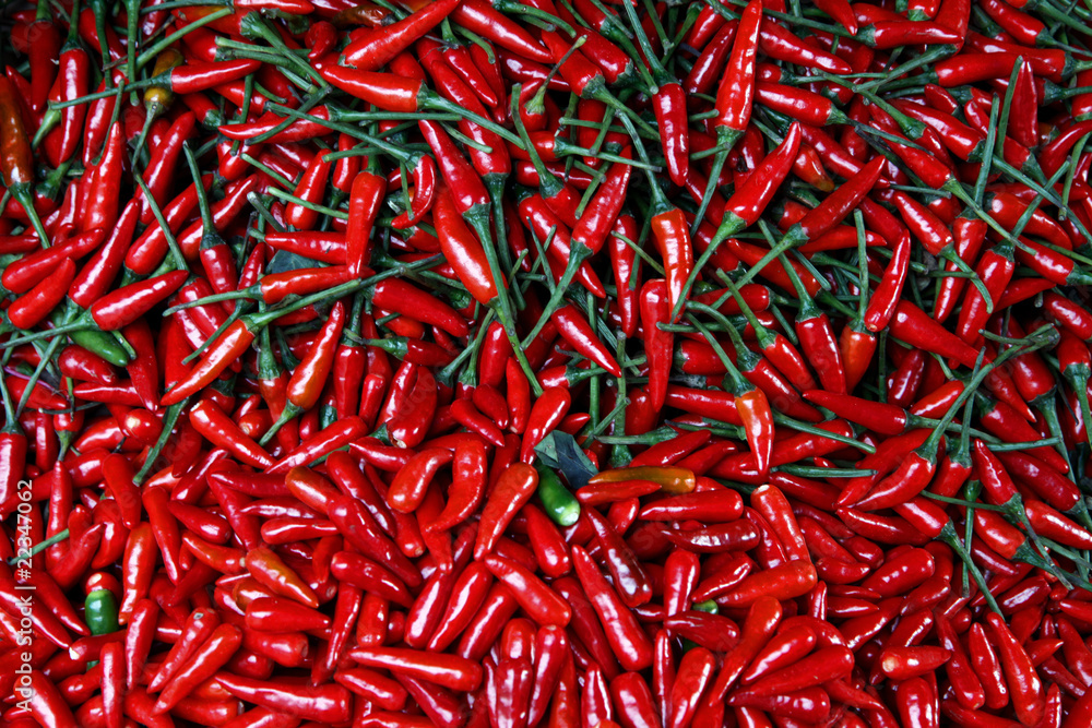 Fototapeta premium Chilischoten