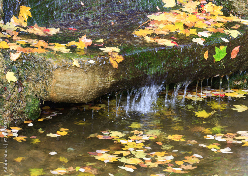 Small waterfall in autumn park Small waterfall in autumn park