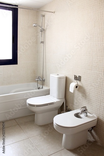 bathroom with bath toilet and bidet