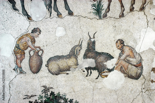 Farmers milking goats, mosaic, Istanbul © SuperCoolPhotography