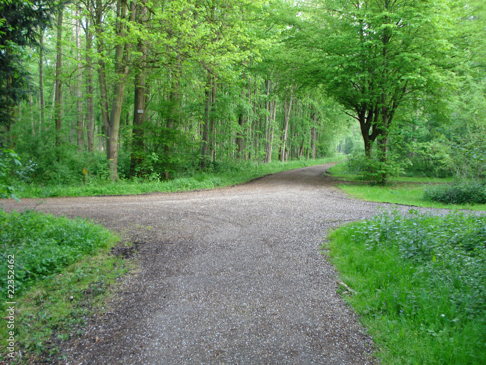 Obraz premium Wegkreuzung