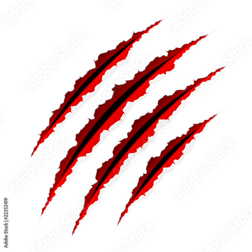 Claws scratches. Vector.