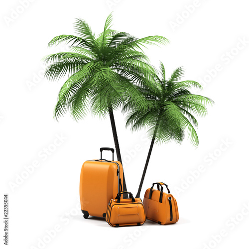 Luggage and palms on a white background.