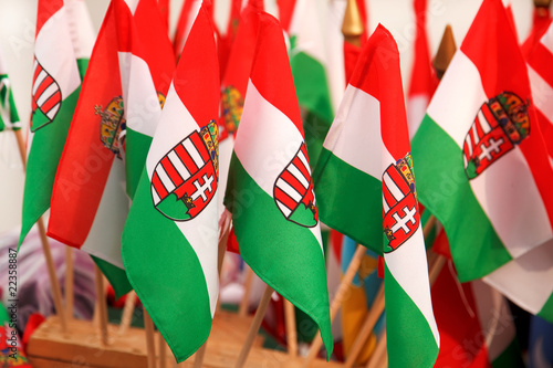 Fotomural Hungarian flags