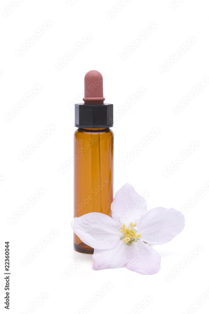 Bachblüten, Holzapfel Bachblüten, Holzapfel