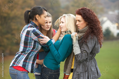 Group Of Female Teenagers Bullying Girl photo