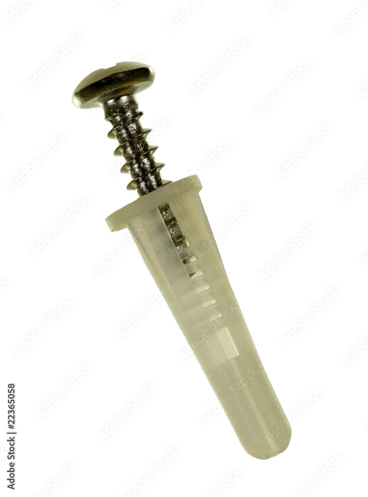 Screw and Dowel Isolated Screw and Dowel Isolated