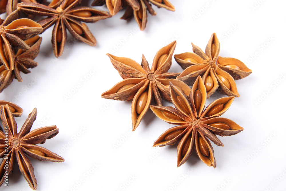 star anise fruit star anise fruit
